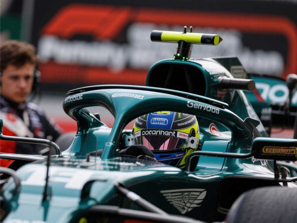 化会导致不 化会导致不